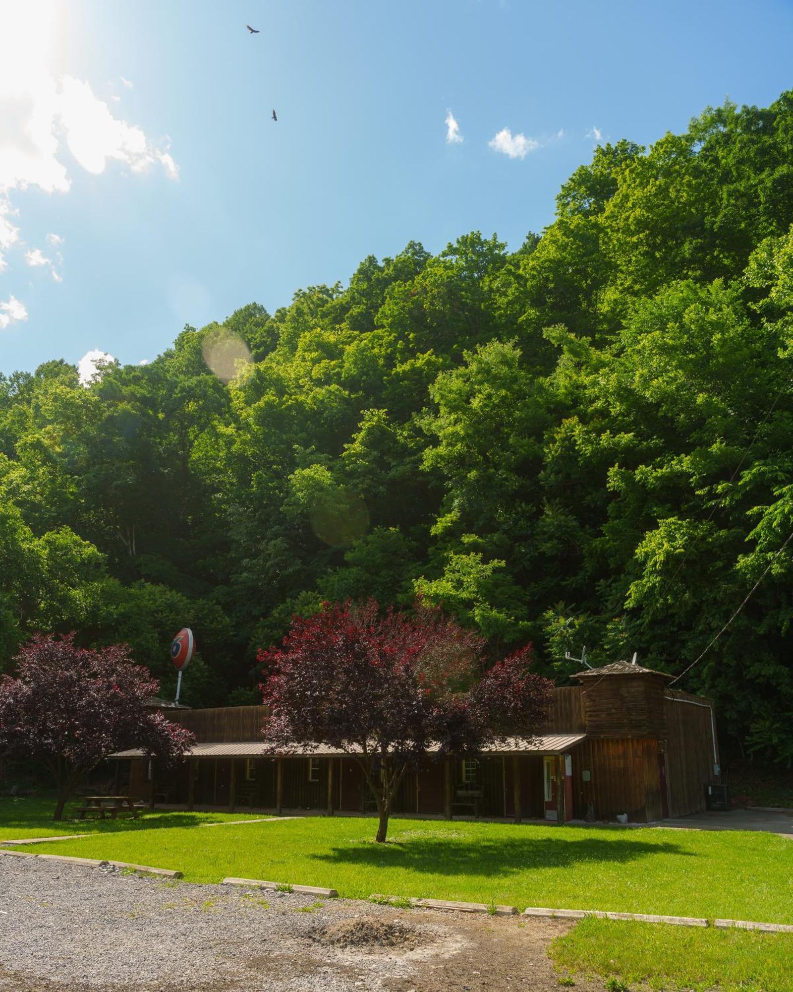 Seneca Pines Lodge Seneca Rocks Exteriör bild