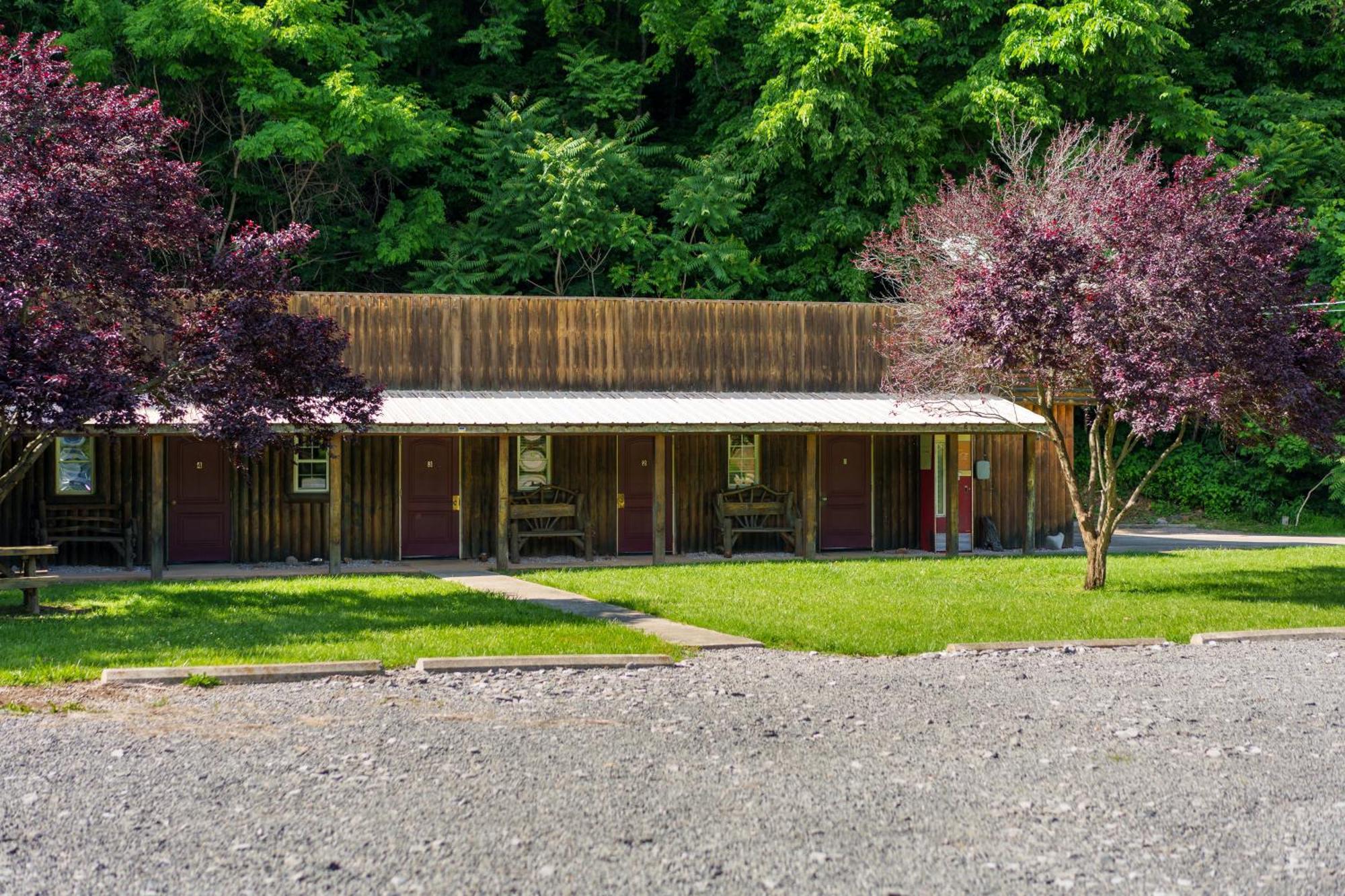 Seneca Pines Lodge Seneca Rocks Exteriör bild